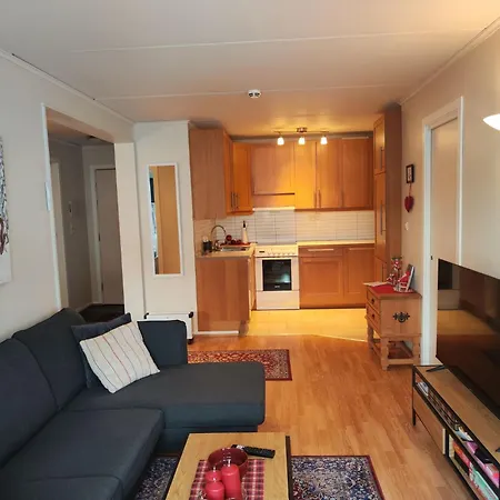 Actif 329 - By Al Skisenter Holiday home *